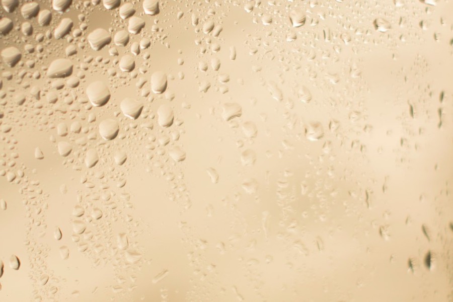 10 Daily Shower Habits That Breed Bathroom Mold
